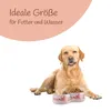 Set di 2 ciotole in ceramica per cani ( Rosa / 400 ml ) Anteprima dell’immagine prodotto 7