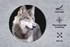 MuchoWow® Mauspad Mousepad Grauer Wildwolf 40x40 cm - Produktbild-Vorschau 2