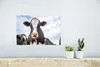 MuchoWow® Poster Kuh - Zunge - Lippen 30x20 cm - Plakate - Produktbild-Vorschau 5