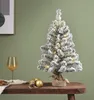 Mini albero di Natale 60 cm con luci LED innevate IMPERIAL Anteprima dell’immagine prodotto 8