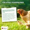 HÜHNER Land Geflügel Futteröl 500ml – Futterergänzung, Produktbild-Vorschau 3