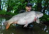 Tandem Baits SuperFeed Speed Booster Milky Mulberry Karpfen Produktbild-Vorschau 14