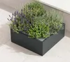 Herstera Garden Cube Low L flacher Outdoor Pflanzkasten Produktbild-Vorschau 2