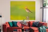 MuchoWow® Poster Vogel - Tiere - Uferschnepfe - Pfahl - Produktbild-Vorschau 2
