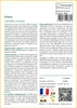 SAFLAX  - Théier - 6 graines - Camellia Voir les images du produit 3