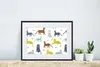 MuchoWow® MuchoWow® Gerahmtes Poster Wilde Tiere - Katze - Produktbild-Vorschau 6
