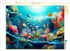 CALVENDO Puzzle Korallenriff | 1000 Teile Lege-Größe Produktbild-Vorschau 1