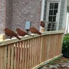4 Edelrost Metall Vogel Stecker Gartendeko Rostoptik mit Produktbild-Vorschau 2