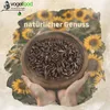 Vogelfood 25 kg Sonnenblumenkerne schwarz Ernte 2024 Produktbild-Vorschau 4