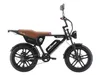 APE RYDER Genon Ultra E-Bike 20 Zoll Fatbike, 250W Motor, Produktbild-Vorschau 2