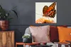 MuchoWow® Poster Schmetterling - Orange - Blume - Insekten Produktbild-Vorschau 2
