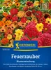 Artikelbild 2 von 'Blumen-Mischung Feuerzauber' aus der Kategorie Blumensamenmischung Produktbild-Vorschau