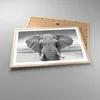 Gerahmtes Poster - Rahmen in heller Eiche - Elefant Afrika Produktbild-Vorschau 3