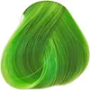 La Richè Directions Spring Green 89 ml Produktbild-Vorschau 6
