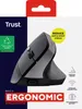 Trust Bayo II Wiederaufladbare Vertikale Maus + RF 2.4GHz, Produktbild-Vorschau 9