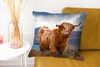 MuchoWow® Zierkissen Sofakissen Wohnzimmer Dekokissen 50x50 Produktbild-Vorschau 6