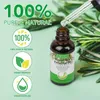 Rosmarinöl Ätherisches Öl 30ml Haarwachstum Kopfhaut Produktbild-Vorschau 2