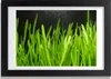 Bild 30x20 MDF-Rahmen, Wandkunst Gras Produktbild-Vorschau 1