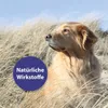 Canosept Hautpflegespray für Hunde, 250 ml, gegen Juckreiz, Produktbild-Vorschau 5