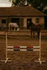 Hobby Horse Hurdle 120 cm avec deux barres rouge et bleu Voir les images du produit 9