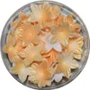 Mini-Goldwaffelblumen 50 Stück Produktbild-Vorschau 1