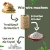 A diagram showing the process of making Nattokinase, from beans to capsules. Produktbild-Vorschau