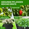 TTL GARDEN Pflanzsack 8L – 10er Set Stofftöpfe aus Filz & Produktbild-Vorschau 5