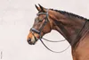 Schockemöhle Sports Anatomical Snaffle Malibu Snaffle Anteprima dell’immagine prodotto 2
