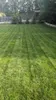 EcoDeco Graines de gazon gazon à semer 5kg, gazon terrain Voir les images du produit 11