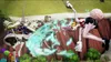 BANDAI NAMCO Entertainment One Piece: Pirate Warriors 4 Podgląd zdjęcia produktu 12