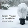 Praknu Wintervlies für Pflanzen Frostschutz 50g/m² - 50m × Produktbild-Vorschau 2