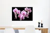 MuchoWow® Poster Orchidee - Blumen - Rosa - Flora 60x40 cm Produktbild-Vorschau 5