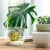 Zestaw 12 szklanych lampionów Podgląd zdjęcia produktu 5