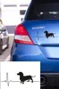 Herzschlag Dackel Autoaufkleber Produktbild-Vorschau 2