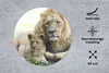 MuchoWow® Mauspad Mousepad Löwe - Jungtier - Porträt 30x30 Produktbild-Vorschau 2