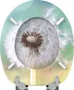 SANILO® WC sedátko s mechanismem Soft-Close Dandelion, WC Náhled obrázku produktu 7