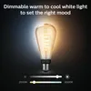 Philips E27 Filament Giant Edison ST72 Produktbild-Vorschau 7