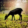 Evila Originals, Gazelle 01, Dekoratives Objekt, Schwarz, Produktbild-Vorschau 2