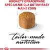 Royal Canin Maine Coon Kitten, Kocięta, Maine Coon, Drób, Podgląd zdjęcia produktu 10