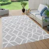 vidaXL Outdoor-Teppich ARAKIL Grau 120x180 cm PP Produktbild-Vorschau 8
