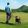 Lishinu3 Bungee Black L (13 - 40 kg) Podgląd zdjęcia produktu 2