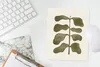 MuchoWow® Mauspad Mousepad Pflanze - Grün - Pastell - Blume Produktbild-Vorschau 5
