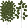 Gardlov 22557 Rozenblaadjes 12 stuks Productafbeelding-voorbeeld 4