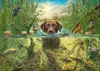 Mark Fredrickson: Hundeliebe - brauner Labrador im kühlen Produktbild-Vorschau 1