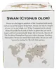 DUO World of Birds XXL Becher 1000 ml SWAN New Bone China Produktbild-Vorschau 4
