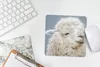 MuchoWow® Mauspad Mousepad Alpaka - Wolle - Weiß 20x20 cm - Produktbild-Vorschau 5