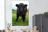MuchoWow® Poster Schottische Highlander - Kühe - Natur - Produktbild-Vorschau 2