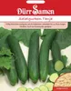 Salatgurke Tanja | Salatgurkensamen von Dürr Samen Produktbild-Vorschau 4