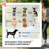 PawHut Hundewagen 3 in 1 Hundebuggy Faltbar Hundebox, Produktbild-Vorschau 6
