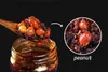 A close-up of chili oil with peanuts, with a spoon lifting some out of a jar. Podgląd zdjęcia produktu